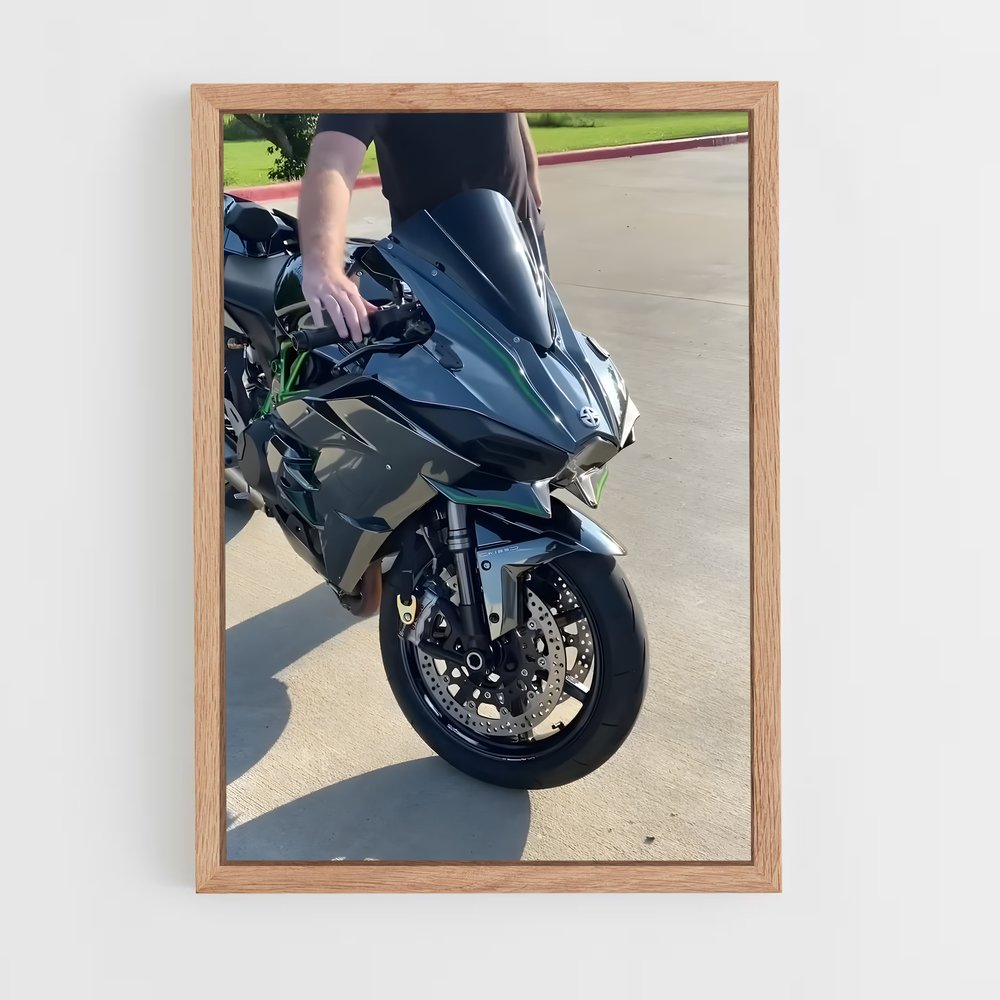 Poster Ninja h2 SX Vif et Futé (vue 4)